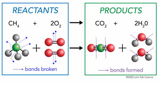 Newsletter #13! 🎄 👄🐶💕Food chemistry: Enthalpy! 🎄 👄🐶💕 Greetings from your local food scientist!