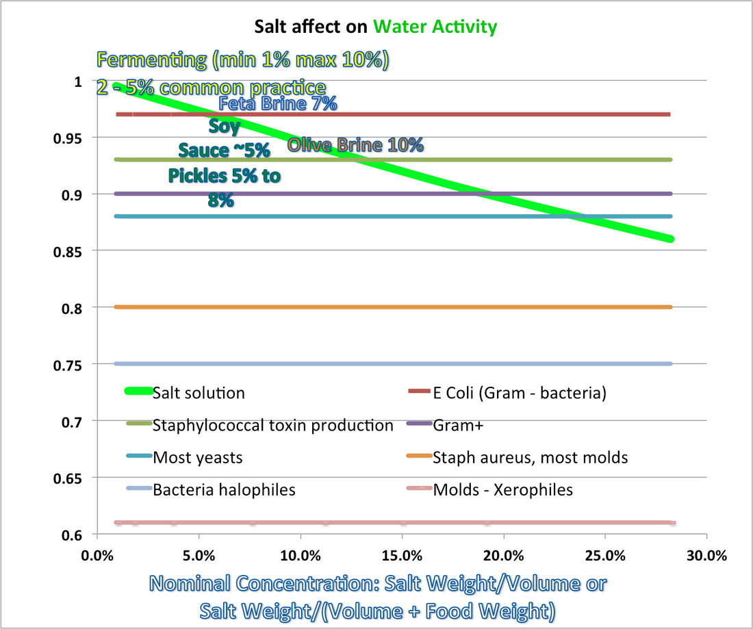 Newsletter #17!  Science of Salt Preservation!